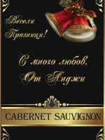 347- 048-Подарък за Нова година, podarac za nova godina