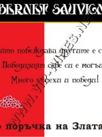 185-224 оригинален подарък,originalen podarac