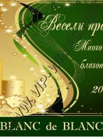 303- Подарък за коледа, podarac za Koleda