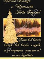 309- Коледен подарък, koleden podarac