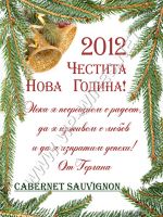 336- Подарък за Нова година, podarac za nova godina