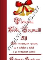 338- Подарък за Нова година, podarac za nova godina