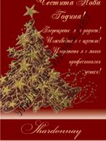 344- Подарък за Нова година, podarac za nova godina