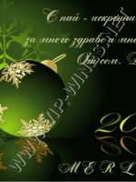 348- Подарък за Нова година, podaruc za nova godina