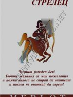 470- Подарък за зодия стрелец